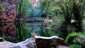 Monasterio de Piedra