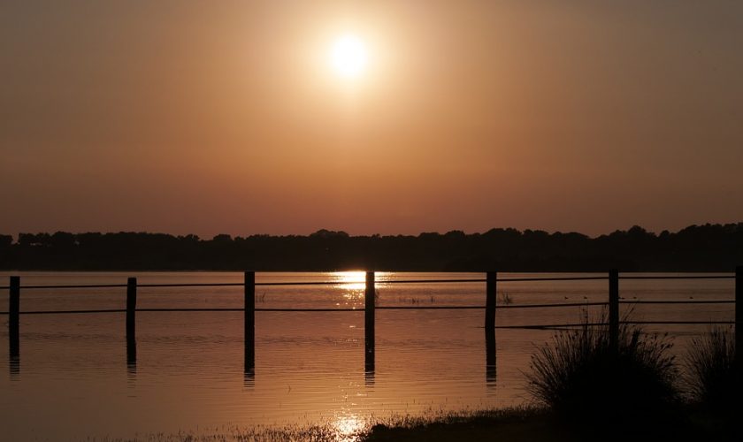 camping Doñana