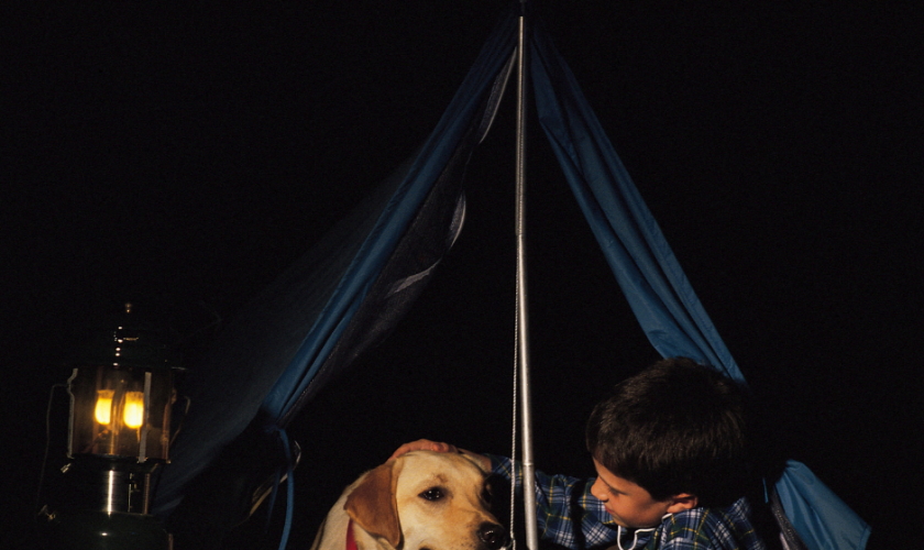 objetos de camping