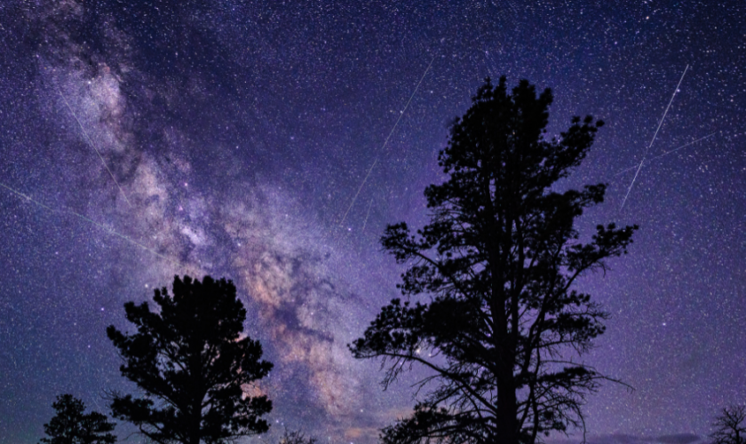 perseidas