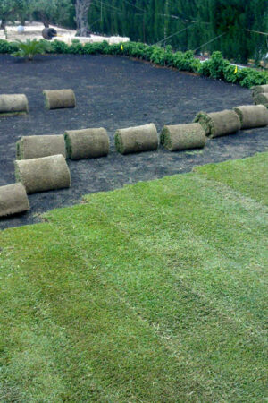 colocacion-tepes-naturales-3