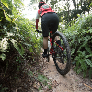MTB